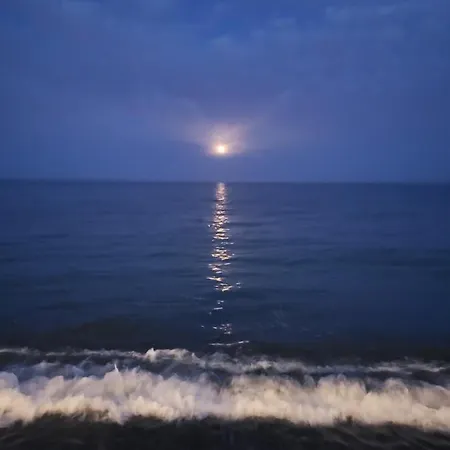 Playa La Vina P * Torremolinos